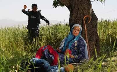 دو فیلم محمد علی طالبی در راه فجر